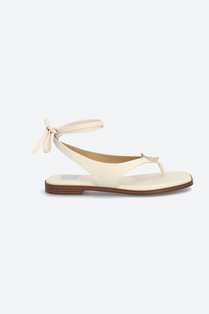 DV Markly: Ivory