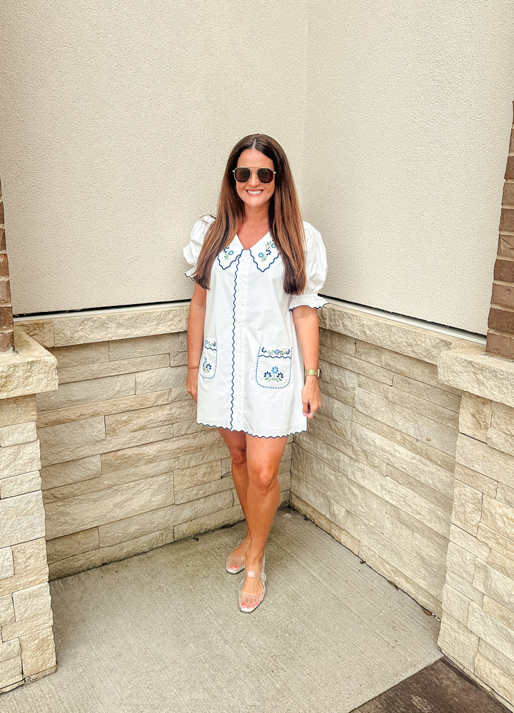 Blue Multi Embroidered Dress
