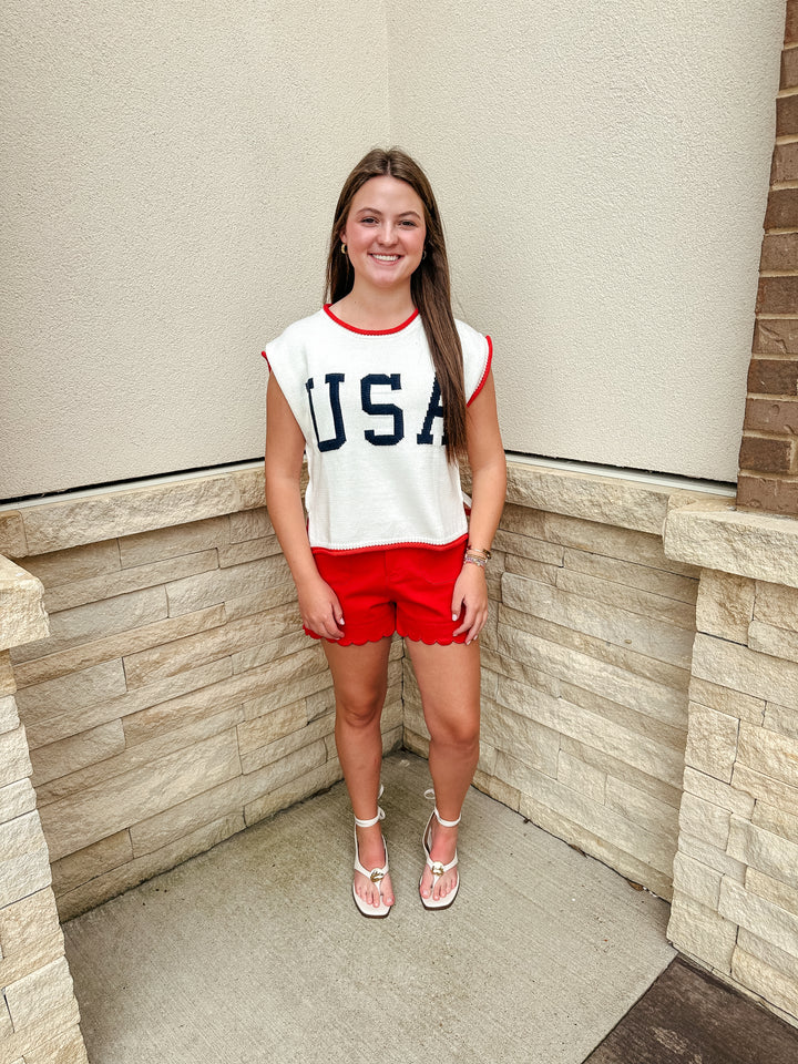 USA knit sweater