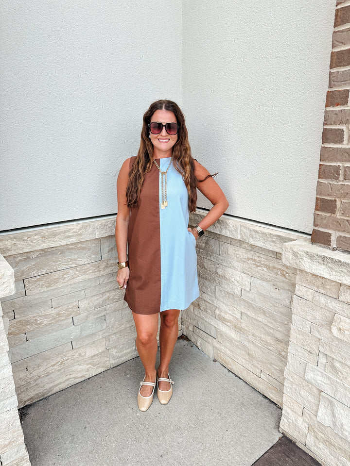 Blue & Brown Dress